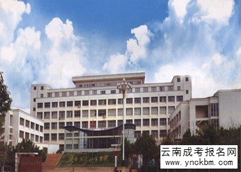 云南成考学校2018年云南商务职业学院招生专业计划